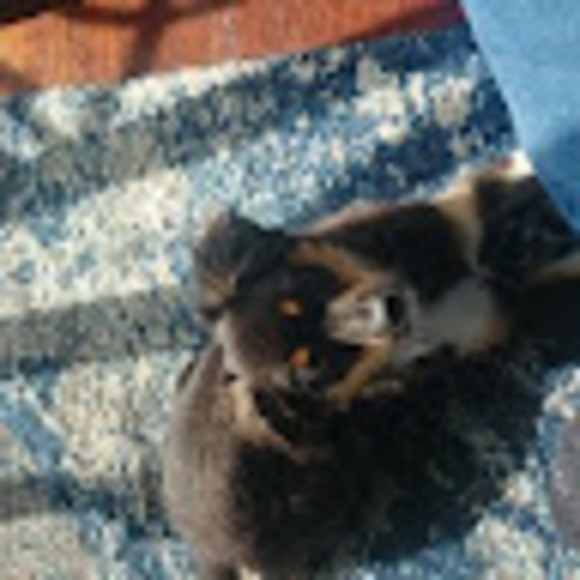 Meet the Posher Other - Meet your Posher, Emma